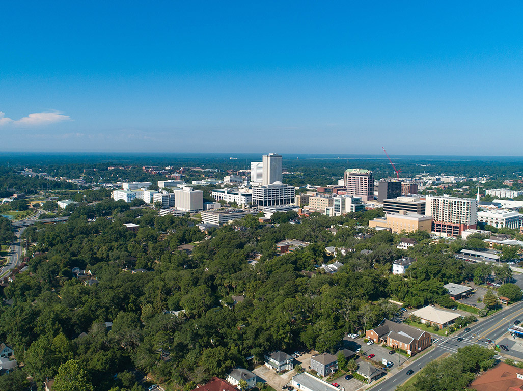 a photo of the Tallahassee skyline