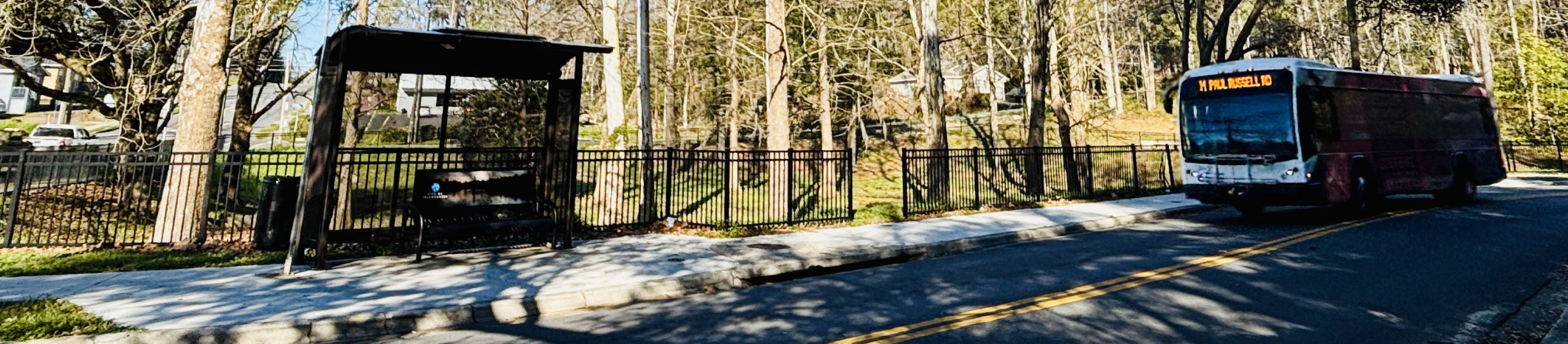 Standing at the start of the birding trail